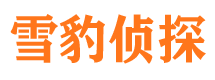 成县侦探公司